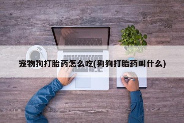 私人卖堕胎药的微信宠物狗打胎药怎么吃(狗狗打胎药叫什么)
