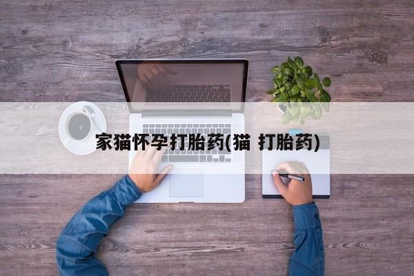 私人卖堕胎药的微信家猫怀孕打胎药(猫 打胎药)